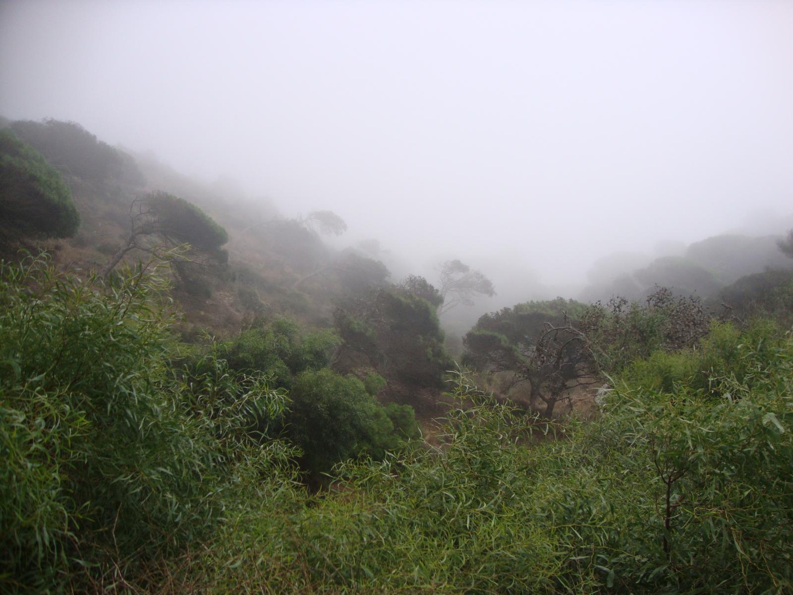 Niebla en el Hacho