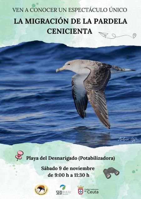 Cartel jornada observación Pardela cenicienta