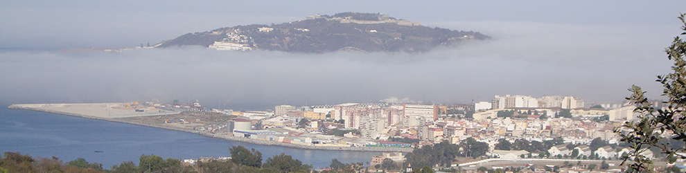 BIENVENIDOS AL BLOG ANILLANDO CERNÍCALOS