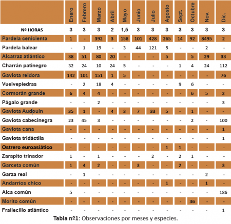 Tabla 1 especies contabilizadas por meses