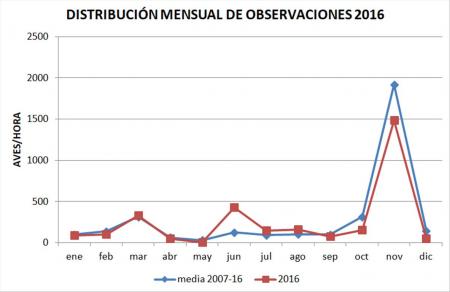 Gráfico 1