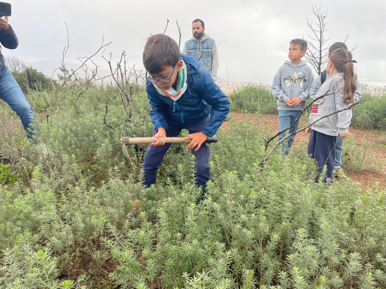 Plantando bellotas