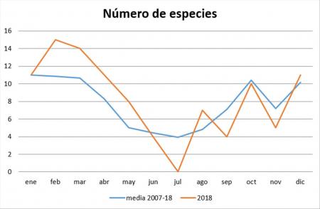 Número de especies observadas por mes. RAM 2018