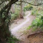 Imagen de los daños producidos por la práctica del motocross en el monte ceutí.