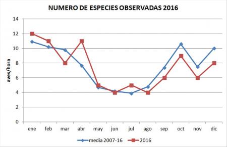 Gráfico 2