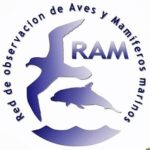 Logo RAM