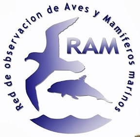 Logo RAM