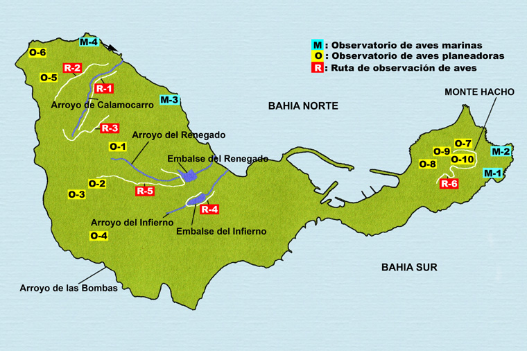 Mapa lugares donde observar aves en Ceuta.