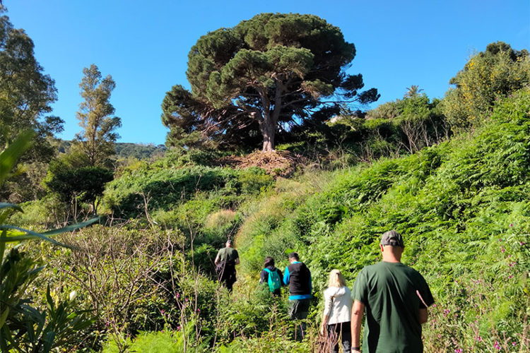 Senderistas caminando por el monte ceutí.