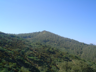 Monte del Renegado