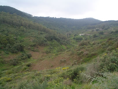 Panorámica del Arroyo de Calamocarro